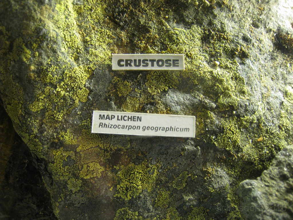 Mt Washington NH 2010 0530.jpg - Mt Washington NH. On May 23 2010 drove the road to the summit. Looked at the views, took some pictures, and drove back down.